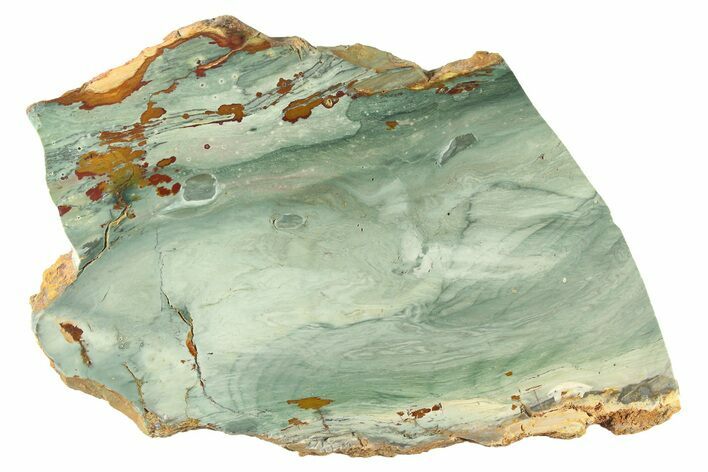 Gary Green Jasper (Larsonite) Bog Wood Slab - Oregon #263475